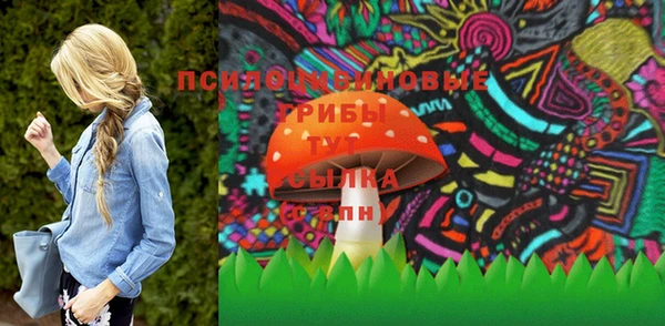 бошки Абаза
