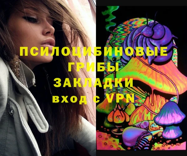 бошки Абаза