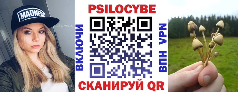 OMG рабочий сайт  Туапсе  Псилоцибиновые грибы GOLDEN TEACHER 